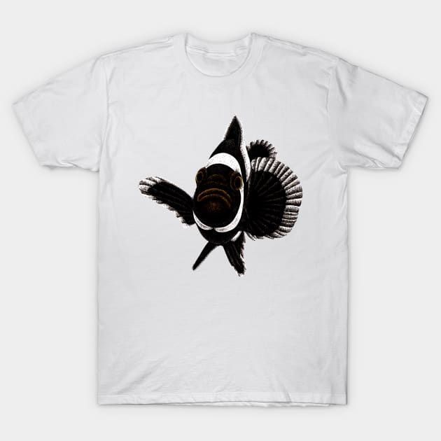 Black ocellaris clownfish T-Shirt by lorendowding